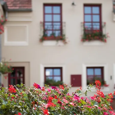 Dvur Hoffmeister Hotel 3*