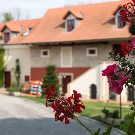 Dvur Hoffmeister Velké Číčovice
