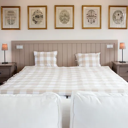 Dvur Hoffmeister Hotel Velké Číčovice