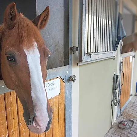 Dvur Hoffmeister 3*